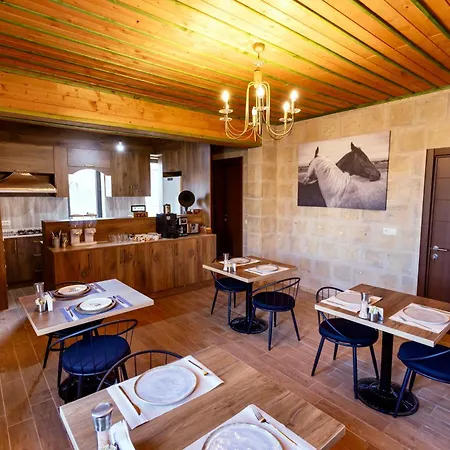 Ivy Cappadocia 3* Гореме
